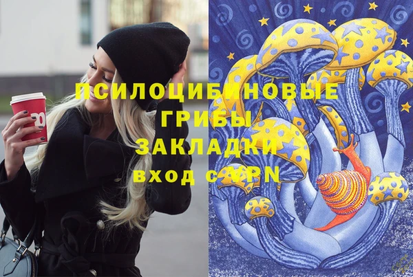 стаф Абаза