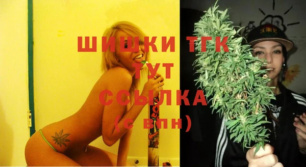 стаф Абаза